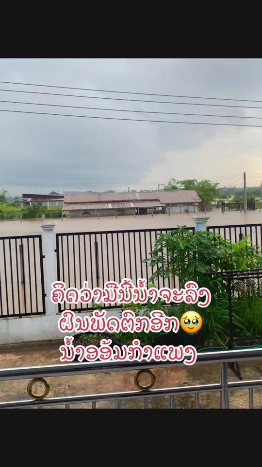 TikTok video thumbnail by maynisa_1998_
