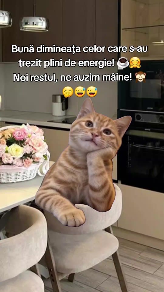 TikTok video thumbnail by dailygiggles.v