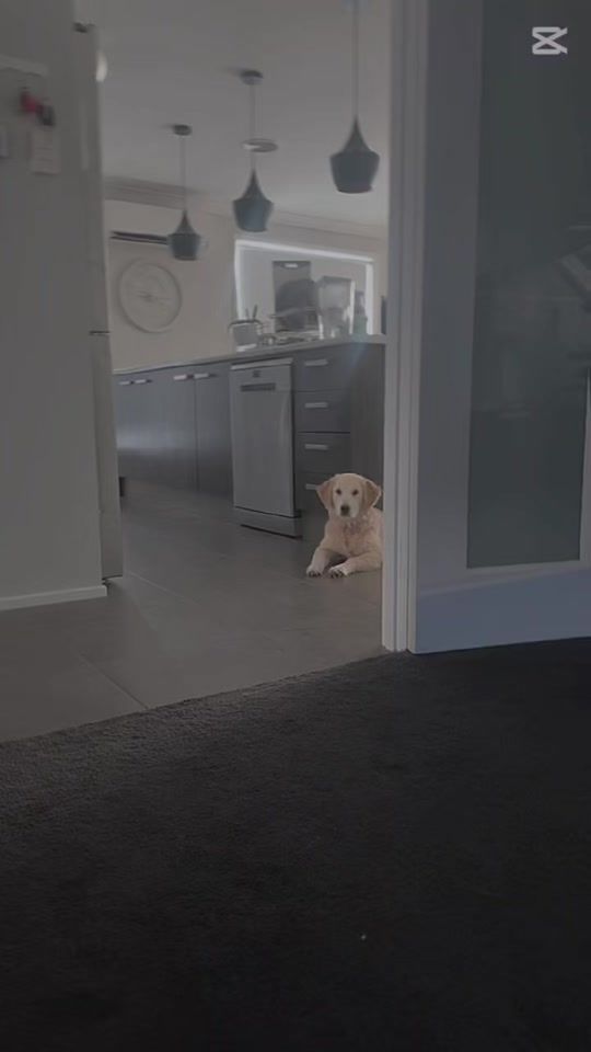 TikTok video thumbnail by abbeylangmaid