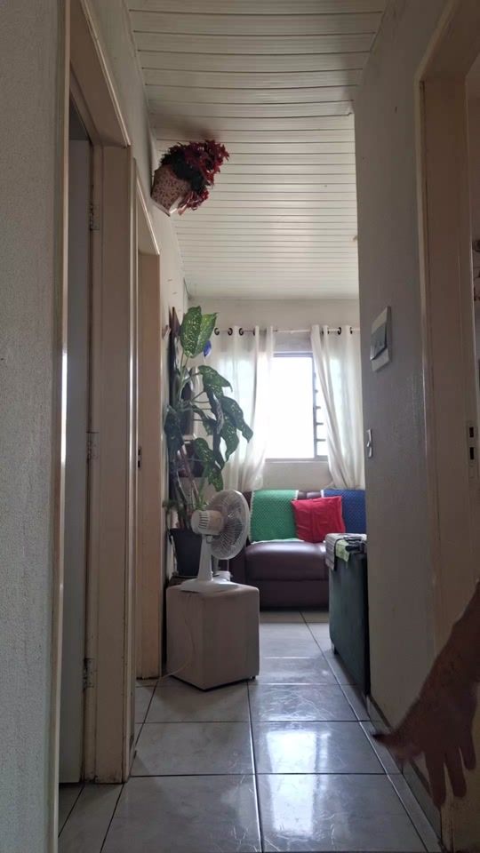 TikTok video thumbnail by quiteriamaria7453