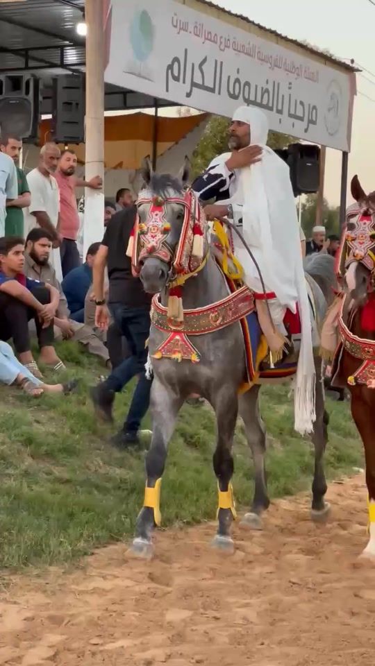 TikTok video thumbnail by libyahorses7