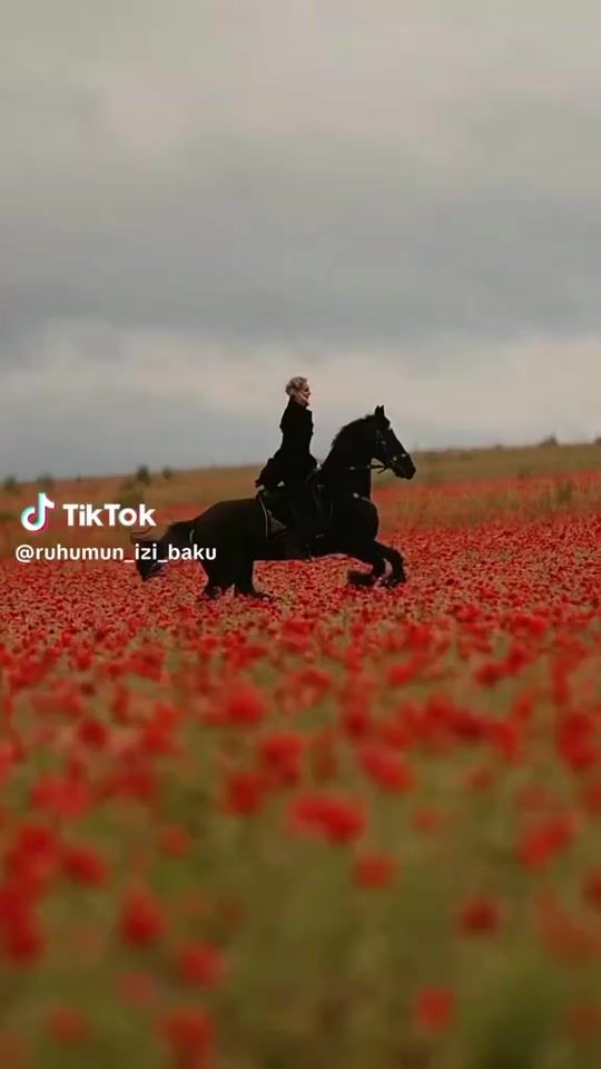 TikTok video thumbnail by .kb236