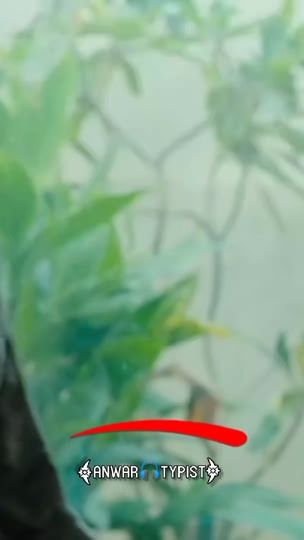 TikTok video thumbnail by anwer.typists