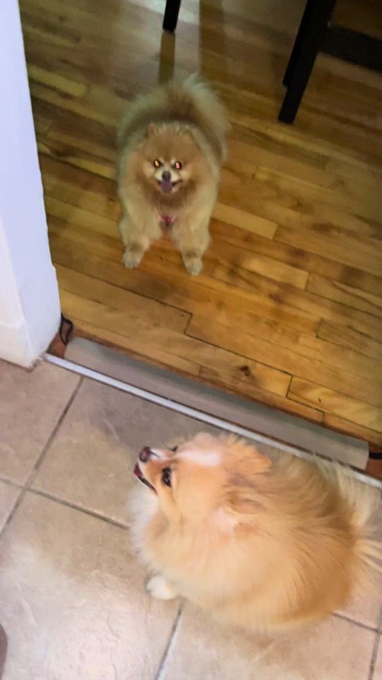 TikTok video thumbnail by henryhuby