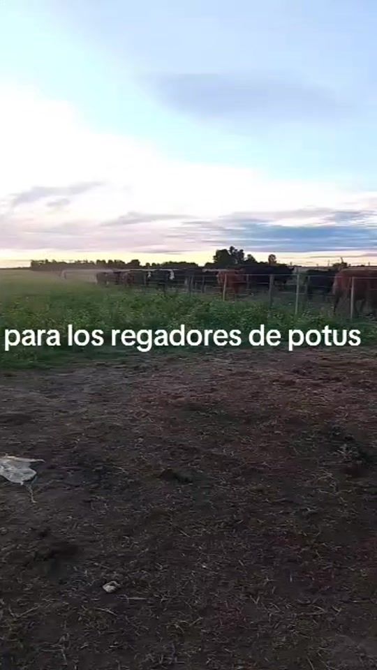 TikTok video thumbnail by alexagro1983