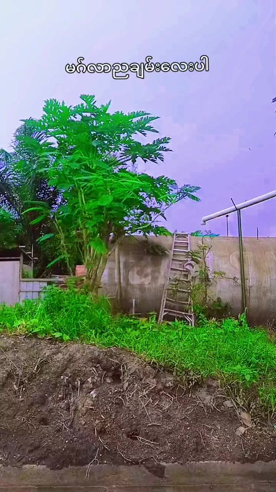 TikTok video thumbnail by user831082672