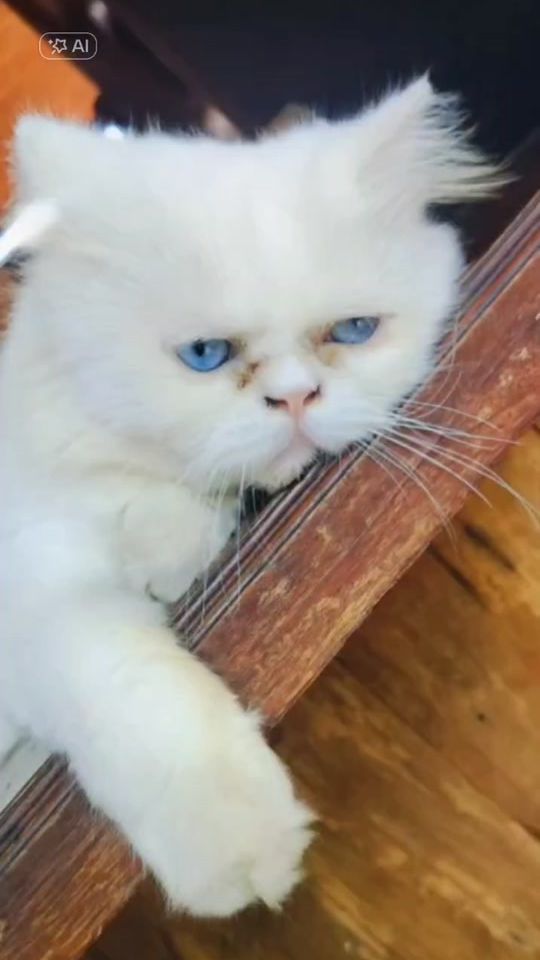 TikTok video thumbnail by pannee_tema