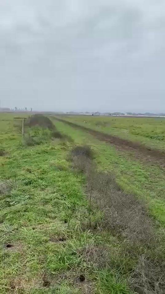 TikTok video thumbnail by _karachayhorses_