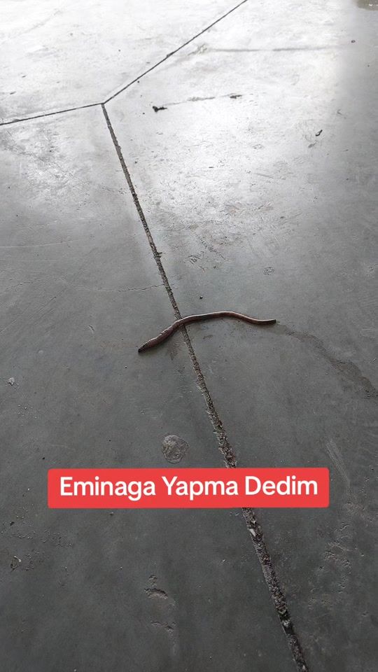 TikTok video thumbnail by ozkan72live