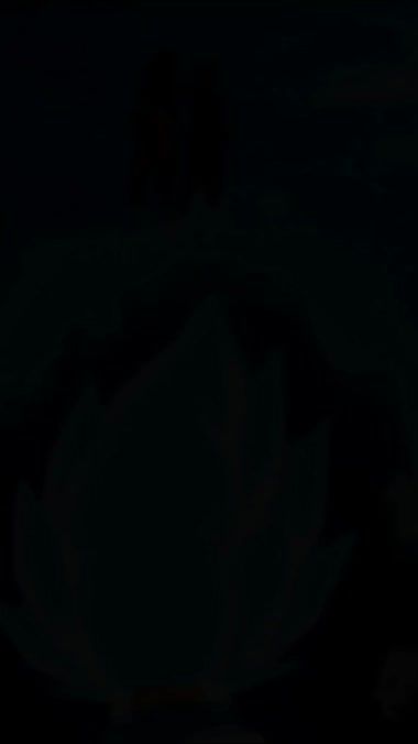 TikTok video thumbnail by senzu.z