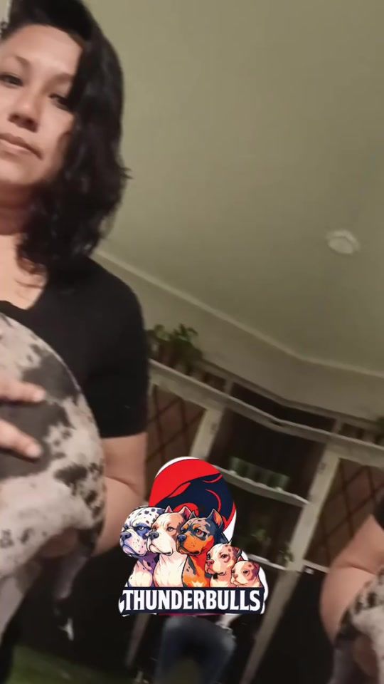 TikTok video thumbnail by analy_8a_