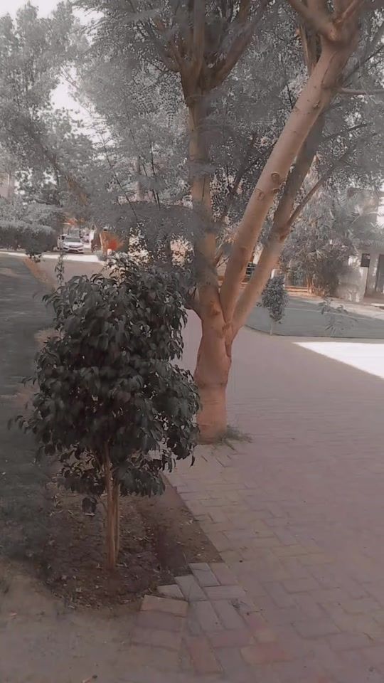 TikTok video thumbnail by saimakha111