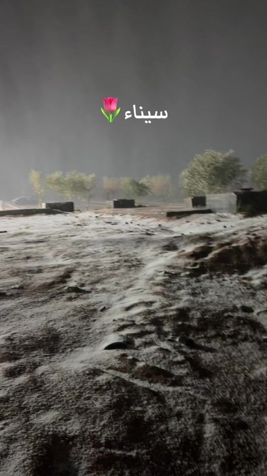 TikTok video thumbnail by hamid_f_15