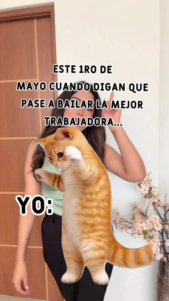 TikTok video thumbnail by azafran_moda