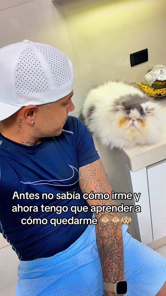 TikTok video thumbnail by soybandy