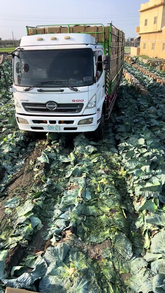 TikTok video thumbnail by xbb__1105