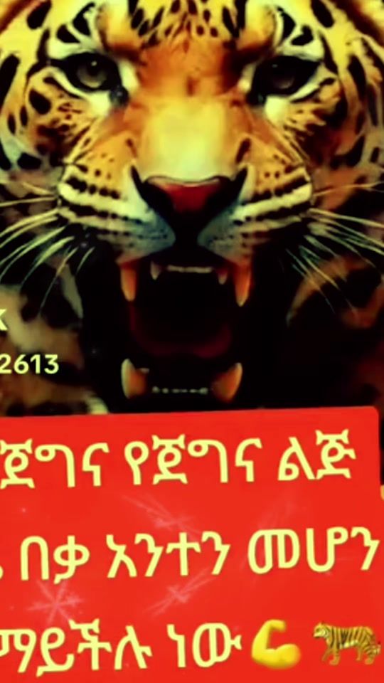 TikTok video thumbnail by monngrll