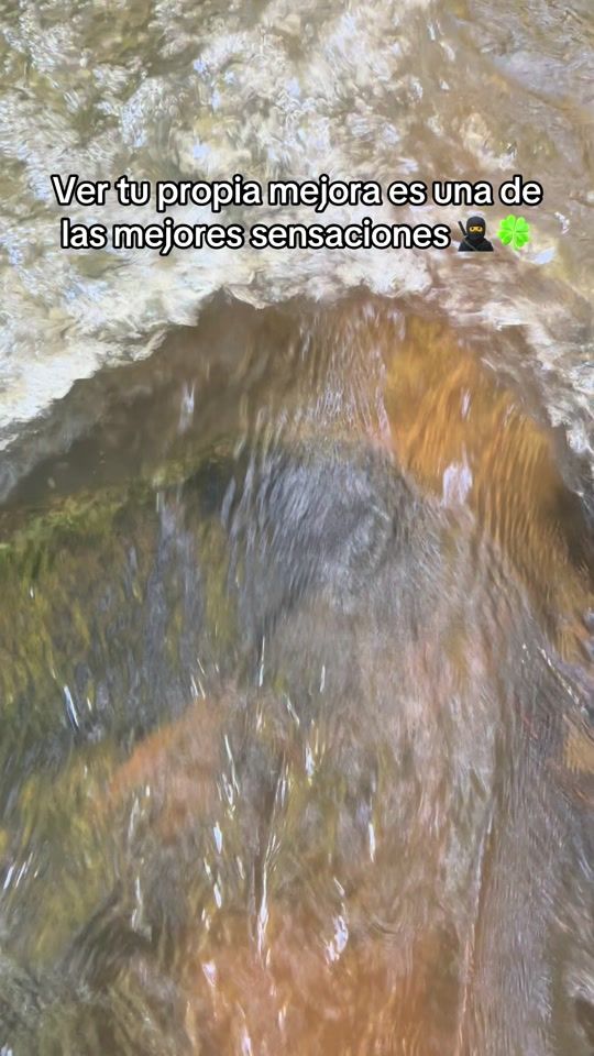 TikTok video thumbnail by _eltachuela_