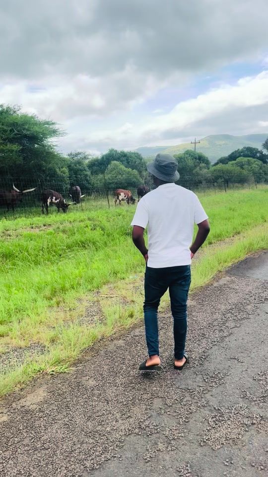 TikTok video thumbnail by mbuyisa024
