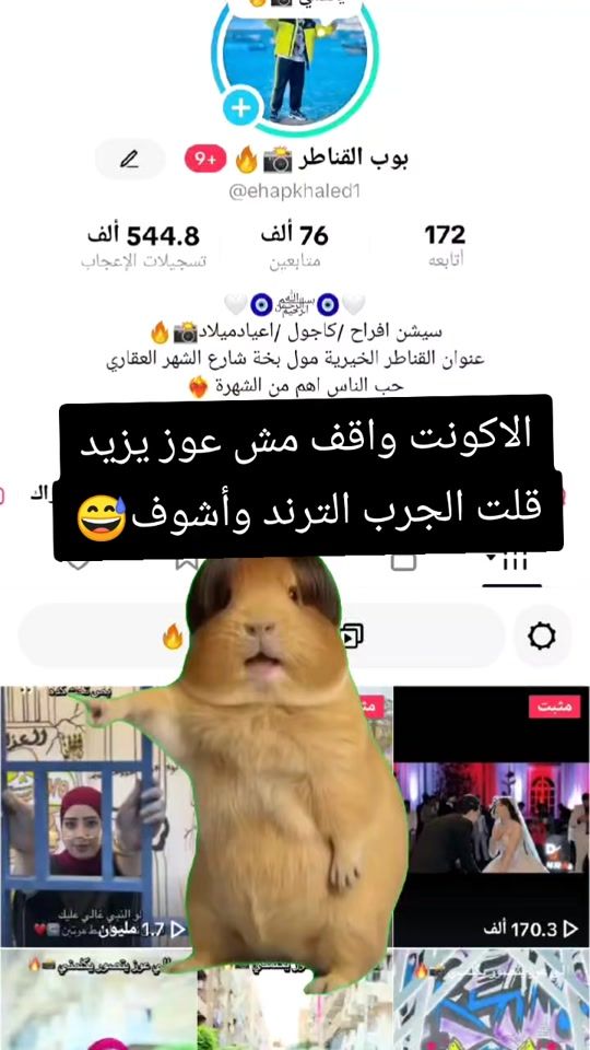 TikTok video thumbnail by ehapkhaled1