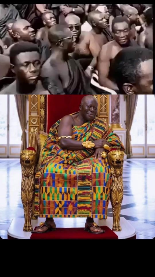 TikTok video thumbnail by ibib_official