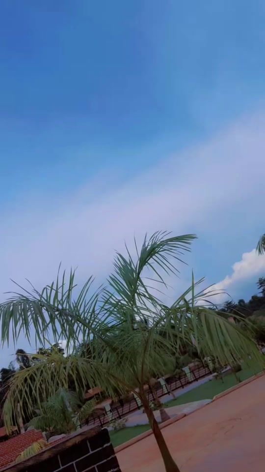 TikTok video thumbnail by theirforevernightmare
