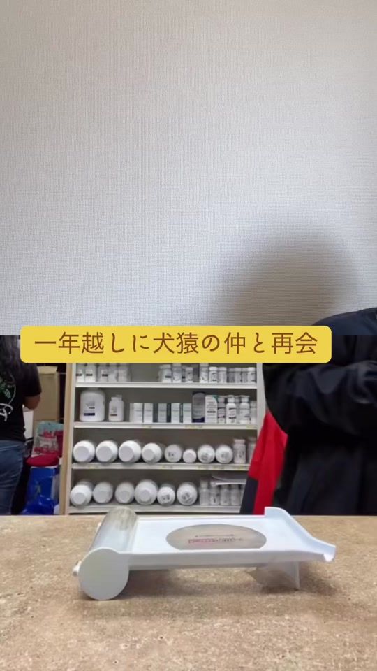 TikTok video thumbnail by puuno_uchi