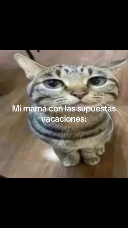 TikTok video thumbnail by sofiaangelina29