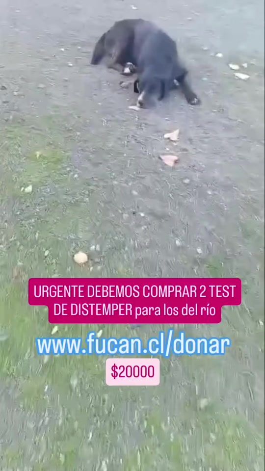 TikTok video thumbnail by fucanchile