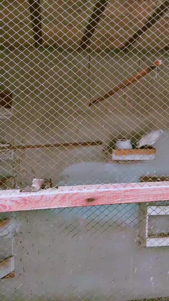 TikTok video thumbnail by aizalkhan5688