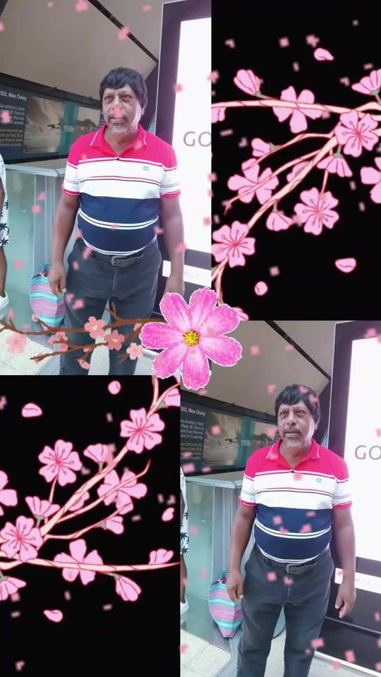TikTok video thumbnail by shardadharmesh