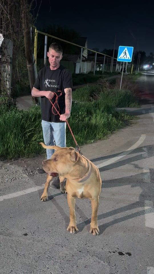 TikTok video thumbnail by saimo777pit