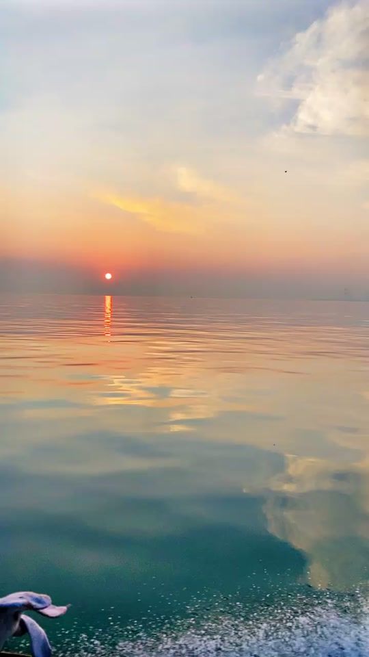 TikTok video thumbnail by m.aljredan
