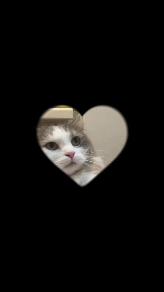 TikTok video thumbnail by 36362chc