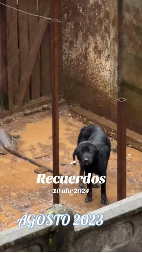 TikTok video thumbnail by nataliaoses20
