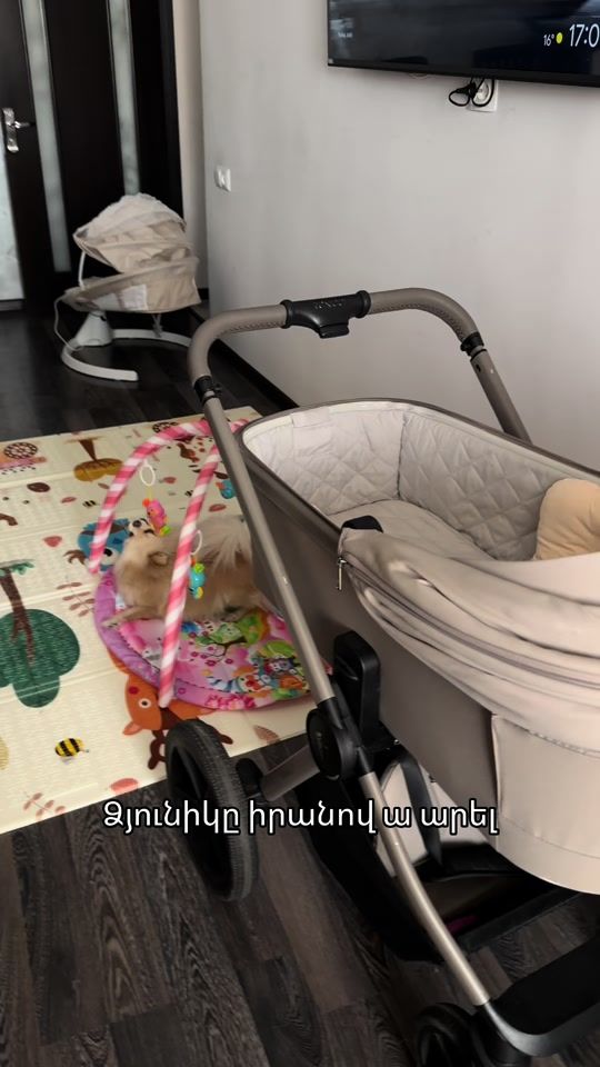 TikTok video thumbnail by sh__pogosyan