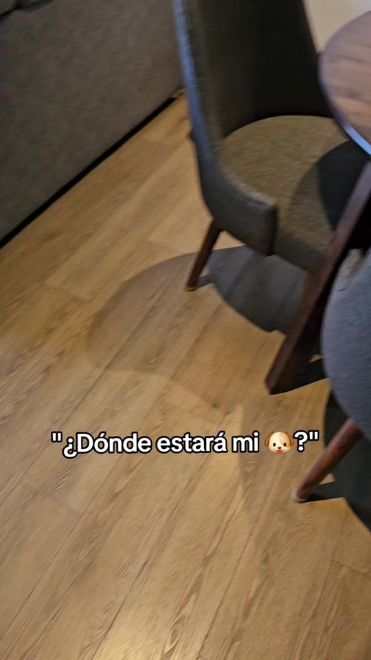 TikTok video thumbnail by curioseandoconkai