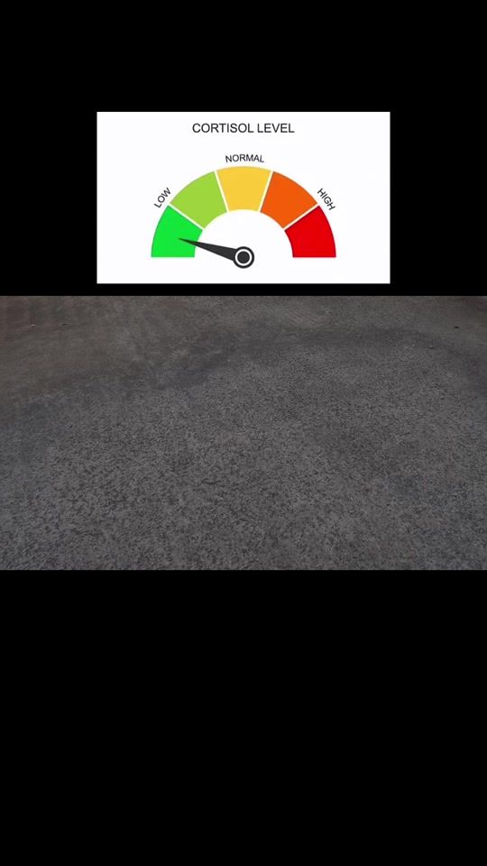 TikTok video thumbnail by hej.ny