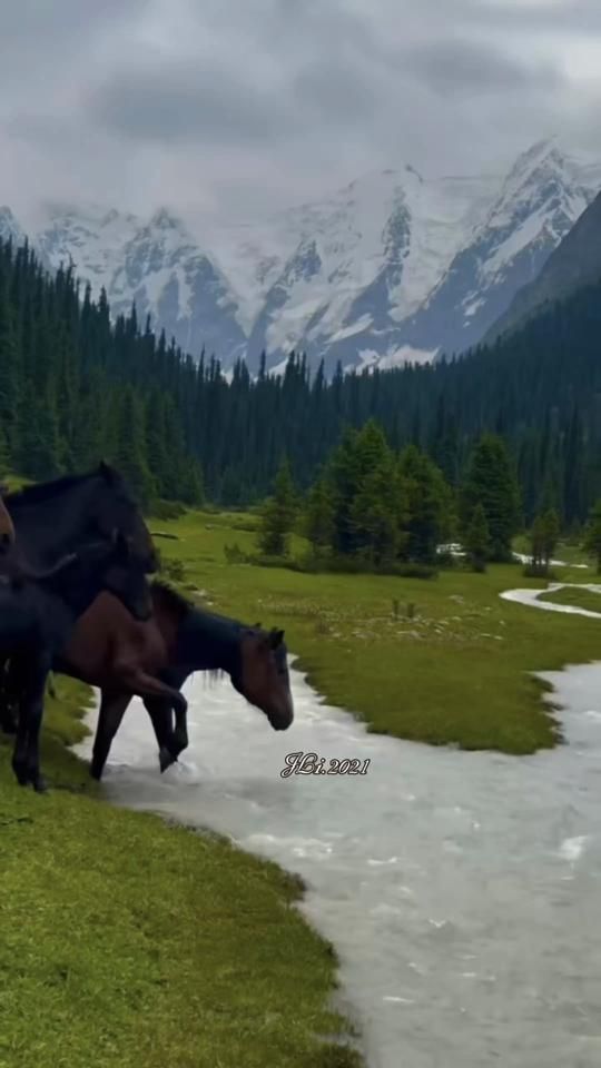 TikTok video thumbnail by jli.2021