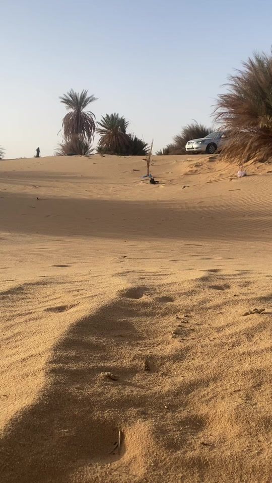 TikTok video thumbnail by userxm78.3