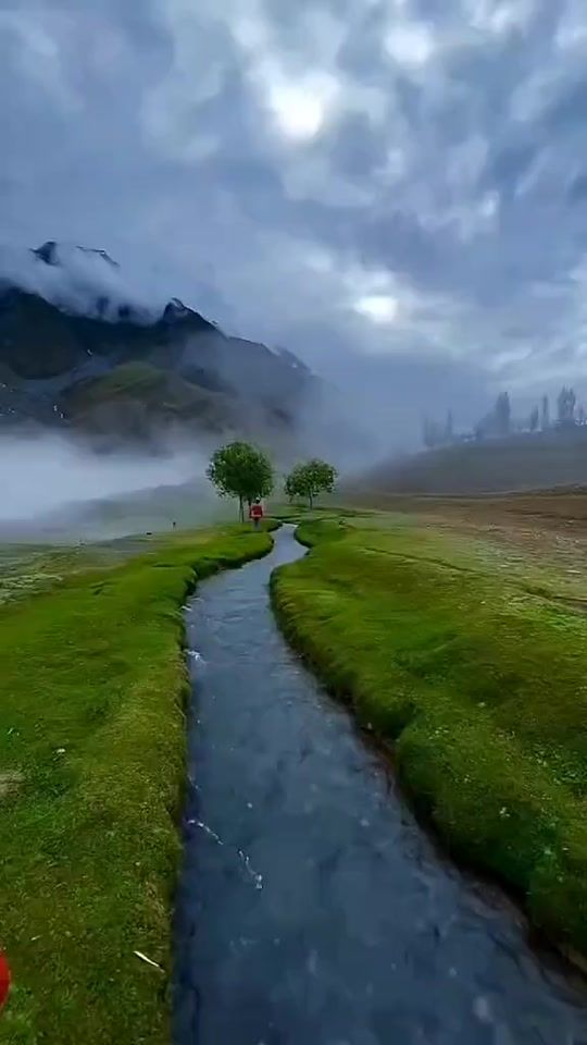 TikTok video thumbnail by asilkurt025