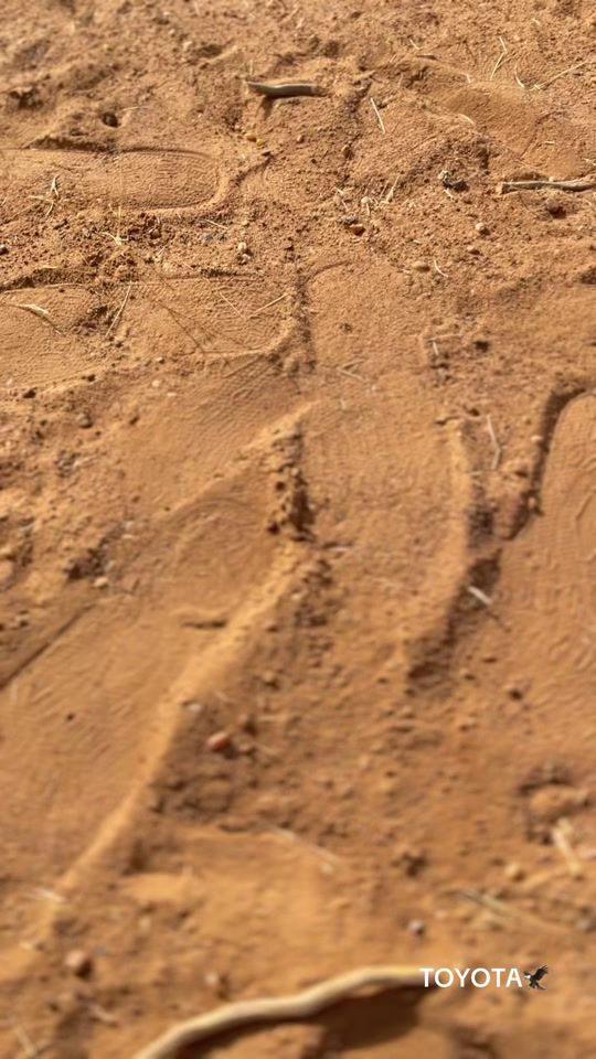TikTok video thumbnail by omar_2_009