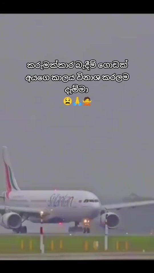 TikTok video thumbnail by danu210831