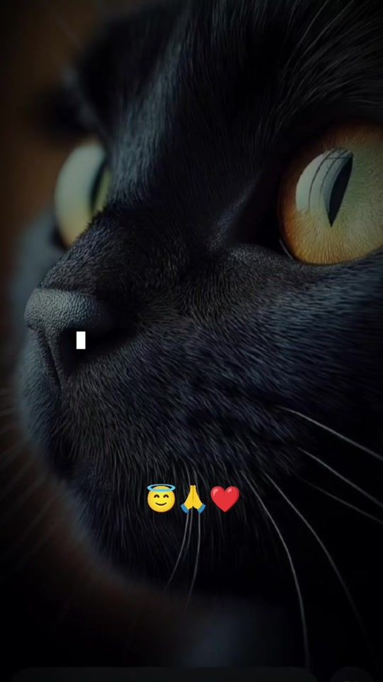 TikTok video thumbnail by banda4144
