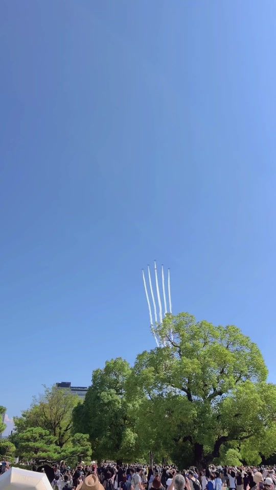 TikTok video thumbnail by apple_owls