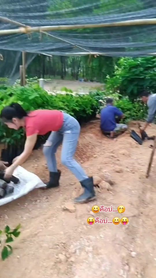 TikTok video thumbnail by user6186610633199