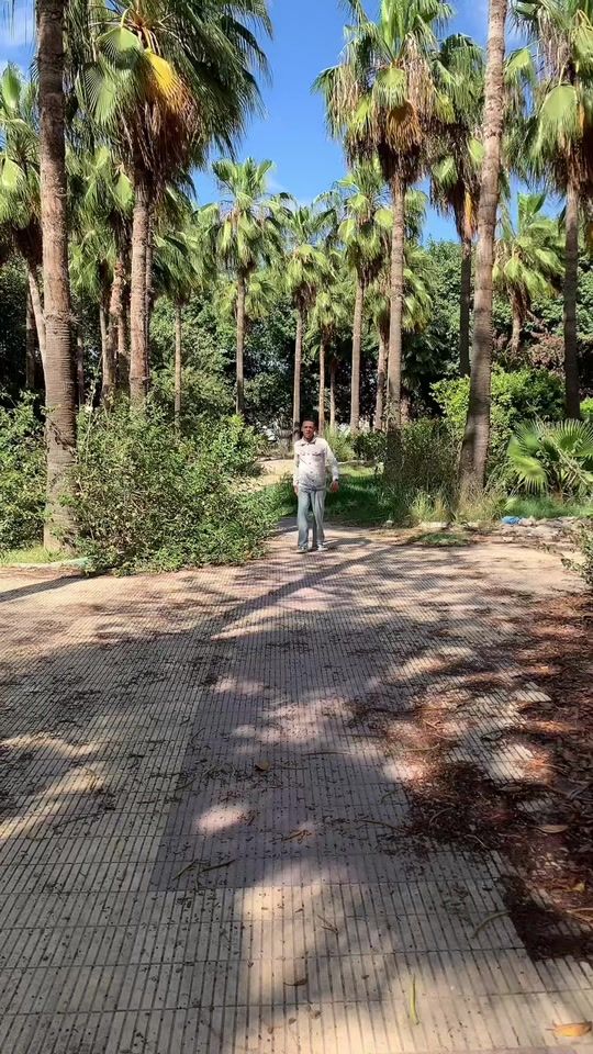 TikTok video thumbnail by zakeelagnbe1