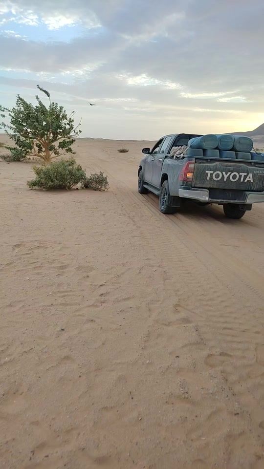 TikTok video thumbnail by a_h_m.685