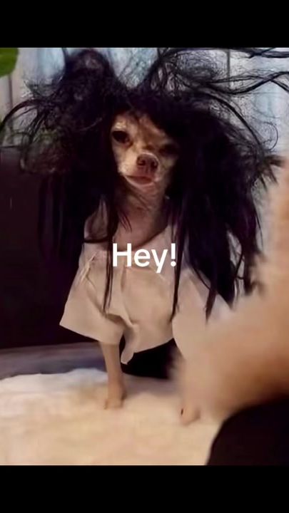 TikTok video thumbnail by sofiaangelina29