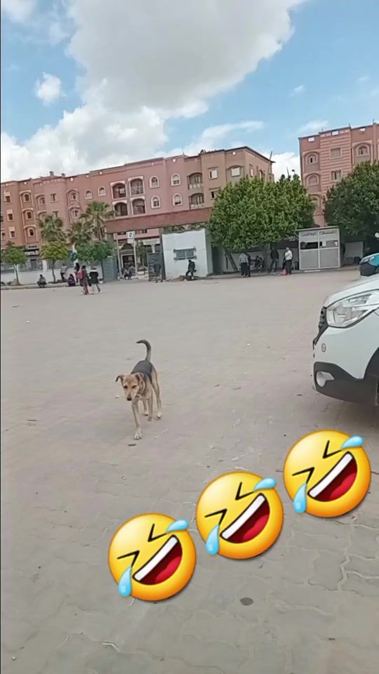 TikTok video thumbnail by sabahlaouinatt